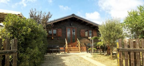 Chalet en bois 